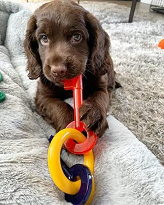 NYLABONE PUPPY CHEW BIJTSLEUTELS BACONSMAAK - thumbnail