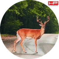 HP Autozubehör 10.888 Wildwaarschuwer (Ø x h) 15 mm x 30 mm - thumbnail