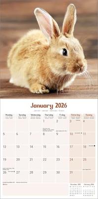 Konijnen Kalender 2026