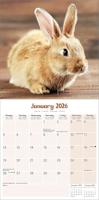 Konijnen Kalender 2026 - thumbnail