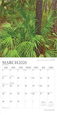 America the Beautiful Kalender 2026