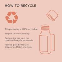 Ginger gember organic bio - thumbnail