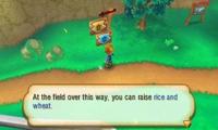 Story of Seasons (Dates Tbd) - thumbnail