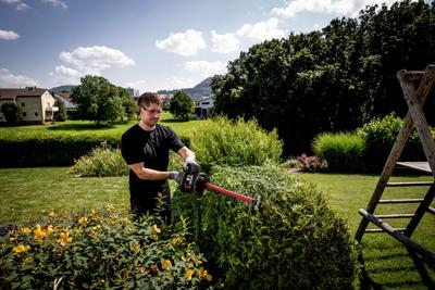 Metabo hs 18 ltx 65 | accu-heggenschaar | 18v | excl. accu en lader - 601719850