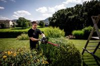Metabo hs 18 ltx 65 | accu-heggenschaar | 18v | excl. accu en lader - 601719850 - thumbnail