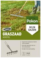 Pokon Graszaad Herstel 1kg - thumbnail