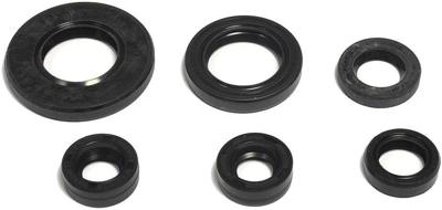 ATHENA motor-keerring set motorshield tt-r 125 ex, 05-10,