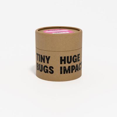 Neoseiulus cucumeris roofmijten 5.000 | CUCU-MITE