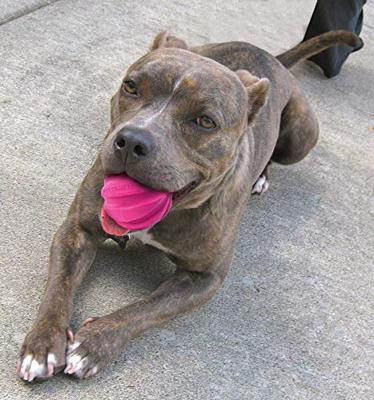 Dog Comets Ball Meteorite Roze Dog Comets Ball Meteorite Roze