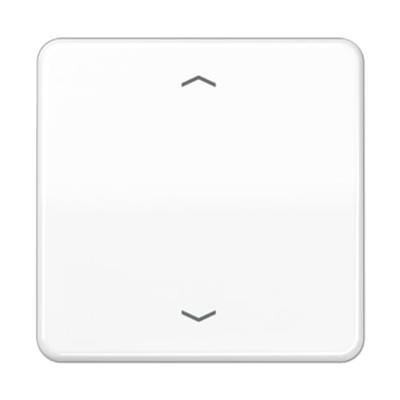Jung CD590PWW Wipschakelaar pijl Afdekking 1-voudig Alpine-wit 1 stuk(s)