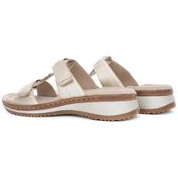 Ara 1229003 - alle - thumbnail