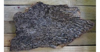 Stuk kurk Warentuin Natuurlijk - Warentuin natuurlijk Stuk kurk Warentuin Natuurlijk - Warentuin natuurlijk