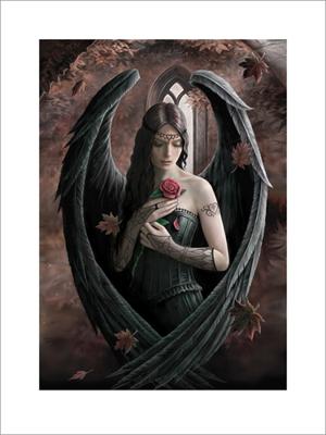 Kunstdruk Anne Stokes - Angel Rose 60x80cm