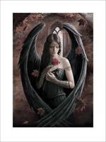 Kunstdruk Anne Stokes - Angel Rose 60x80cm - thumbnail
