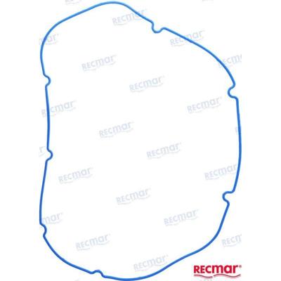 REC17937 - Tuimelaarafdichting GM V8 1991 Bombardier