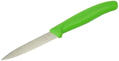 Victorinox 6.7606.L114 Groentemes Groen