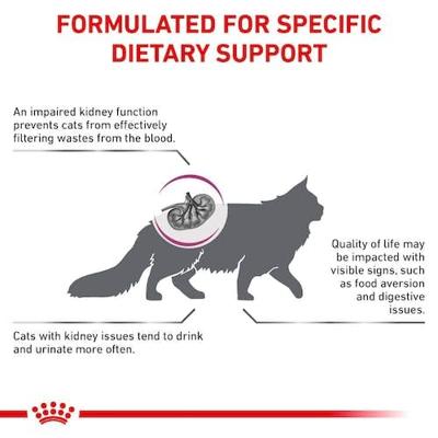 Royal Canin Veterinary Renal Select kattenvoer 4 kg - thumbnail