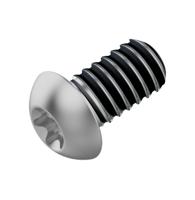 Fahrwerker remschijf bout M5x10 LEV tl (120 stuks) - thumbnail