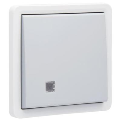 Niko Hydro twee polige schakelaar schroefklemmen grijs