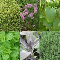 Borderpakket - thumbnail