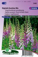 Digitalis purp. zaden Excelsior Vingerhoedskruid - thumbnail