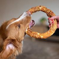 Nobby StarSnack Barbecue Chicken Donut XL Circa 20,0 cm, 220 g - thumbnail