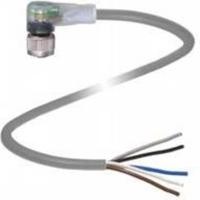 Pepperl+Fuchs 293056 Sensor/actuator connector, geassembleerd Aantal polen (sensoren): 5 5 m 1 stuk(s) - thumbnail
