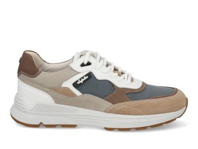 Australian Halifax grey beige white Beige maat 42