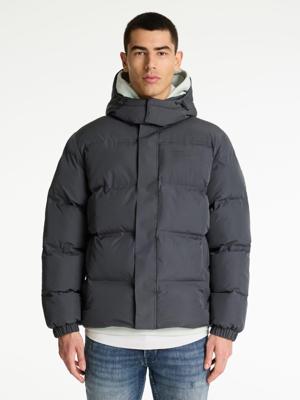 CHASIN' Jassen Nebula