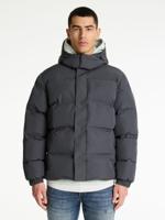 CHASIN' Jassen Nebula - thumbnail