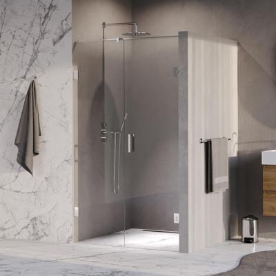 Brauer Void - Nisdeur - 2-Delig - Helder Glas - 110 x 200 cm - Omkeerbaar - met Draaideur 60 cm - Aan Muur - incl. Glascoating - Chroom