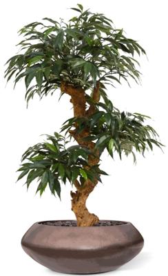 Baq Metallic Silver leaf Bowl Ufo Matt Coffee, 40x15cm