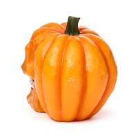 Pompoen Schedel - thumbnail