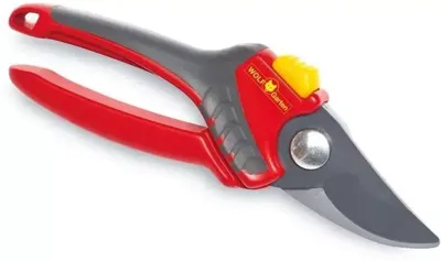 Snoeischaar met papegaaibek