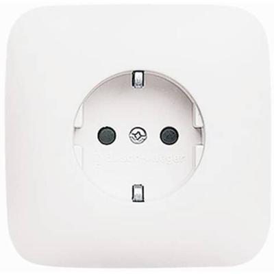 Busch-Jaeger Inzetstuk Wandcontactdoos met randaarde Zuiver wit (RAL 9010), Wit 2CKA002011A1896