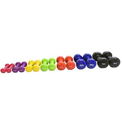 Vinyl Dumbbells - Focus Fitness - 2 x 1 kg