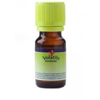 Volatile Zomeravond - thumbnail