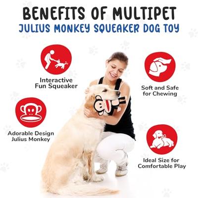 PAUL FRANK PLUCHE AAP JULIUS