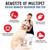 PAUL FRANK PLUCHE AAP JULIUS - thumbnail