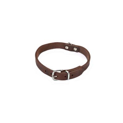 Beeztees - Halsband Hond - Leer - Bruin - 32-37 cm x 16 mm