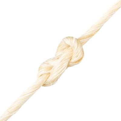 VidaXL Touw 2 mm 300 m 100% sisal