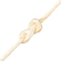VidaXL Touw 2 mm 300 m 100% sisal - thumbnail