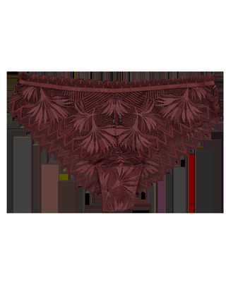 Brazilian - Bruin Brazilian - Bruin