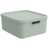 Rotho KAYO Multi Box 39.5x35.5x17.7 cm 20L Sage Green - thumbnail