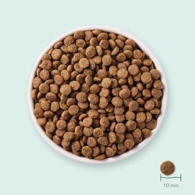 Yarrah bio kattenvoer graanvrij kip & vis 6kg