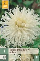 Dahlia Tsuki yori no shisha - thumbnail