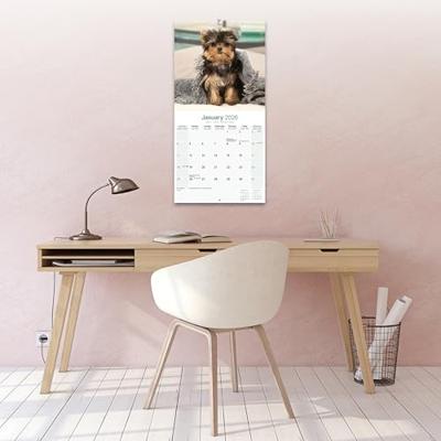 Yorkshire Terrier Puppies Kalender 2026 Yorkshire Terrier Puppies Kalender 2026