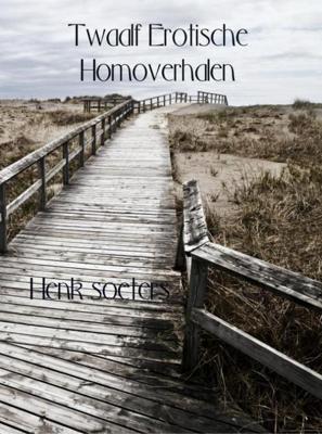 Twaalf erotische homoverhalen - Henk Soeters - eBook (9789463183727)