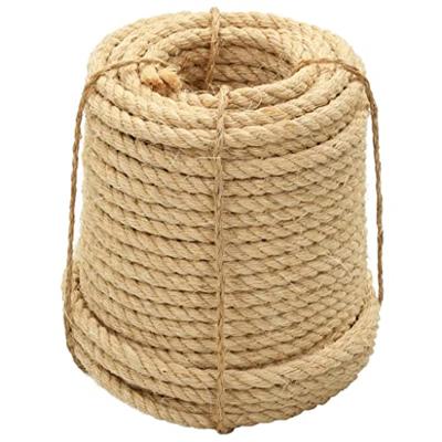 VidaXL Touw 20 mm 100 m 100% sisal