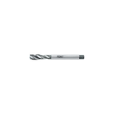 Promat/Tecwerk Machinetap | DIN 376C | M30x3,5 mm | HSS-Co | 6H - 4000867392